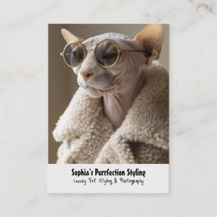 Cartão De Visita Na moda Sphynx Cat nos óculos escuros e Sherpa Cas