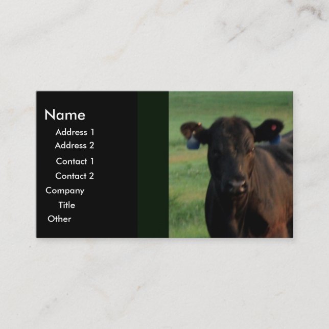 Cartão De Visita Negócio sério (Frente)