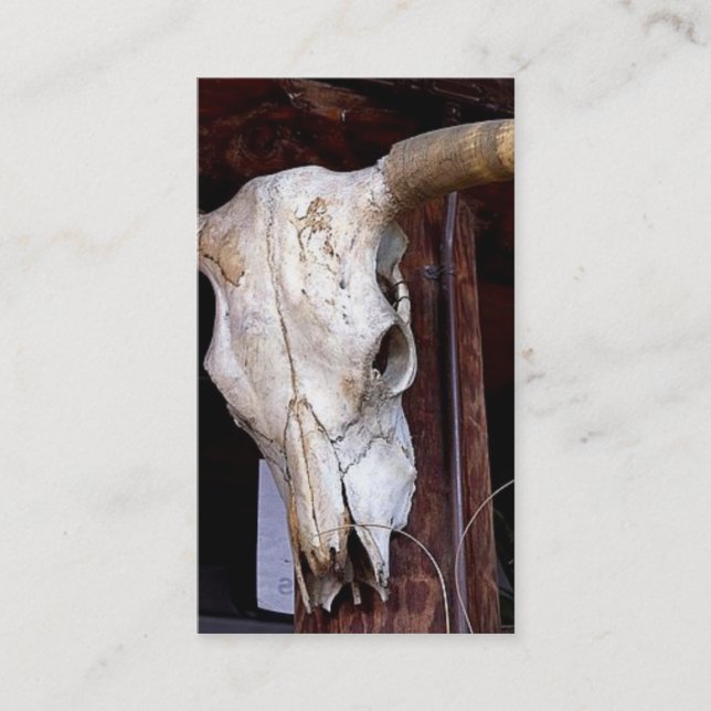 Cartão De Visita Negócios/Cartão de visita do sudoeste (Frente)