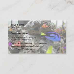 Cartão De Visita Nemo Com Sua Gangue