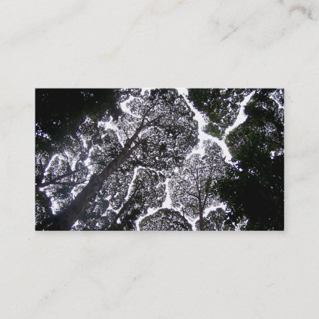 Cartão De Visita nenhum ajardinar das árvores do toque (Frente)