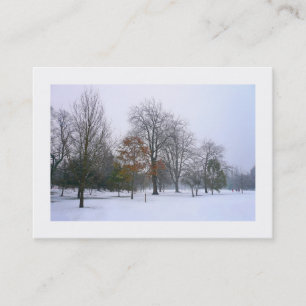 Cartão De Visita Neve no Parque, Mini Foto