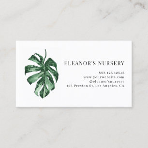 Cartão De Visita Núcleo Tropical Monstera Variegada a Água