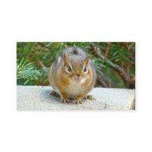 O Chipset Bonito Está De Olho Em Você