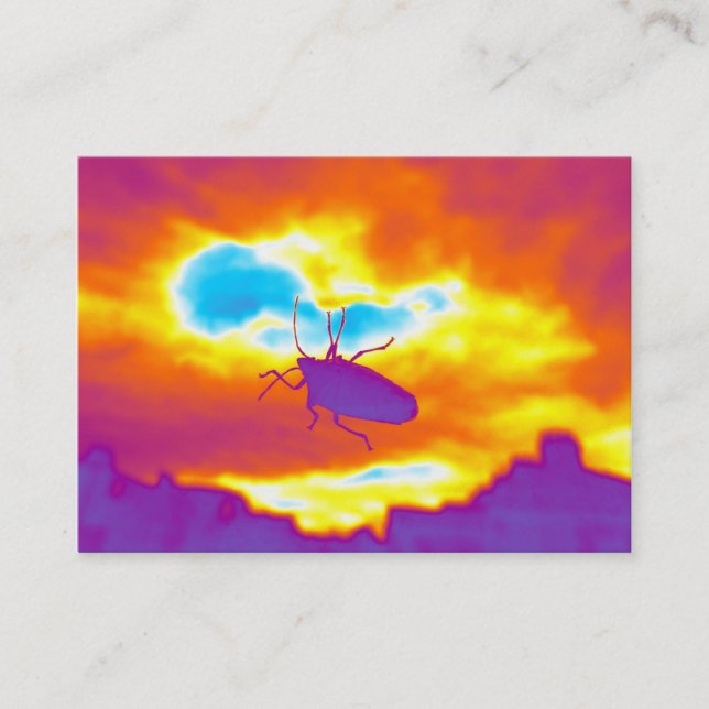 Cartão De Visita O Inseto Psicodélico (Frente)