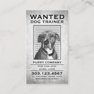 Cartão De Visita o instrutor de cão quis o poster