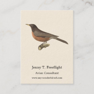 Cartão De Visita O Robin Americano (Turdus migratorius) NY Birds