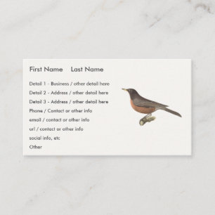 Cartão De Visita O Robin Americano (Turdus migratorius) NY Birds