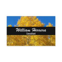 O seu modelo de fotografia Elegant Bold Layout 100