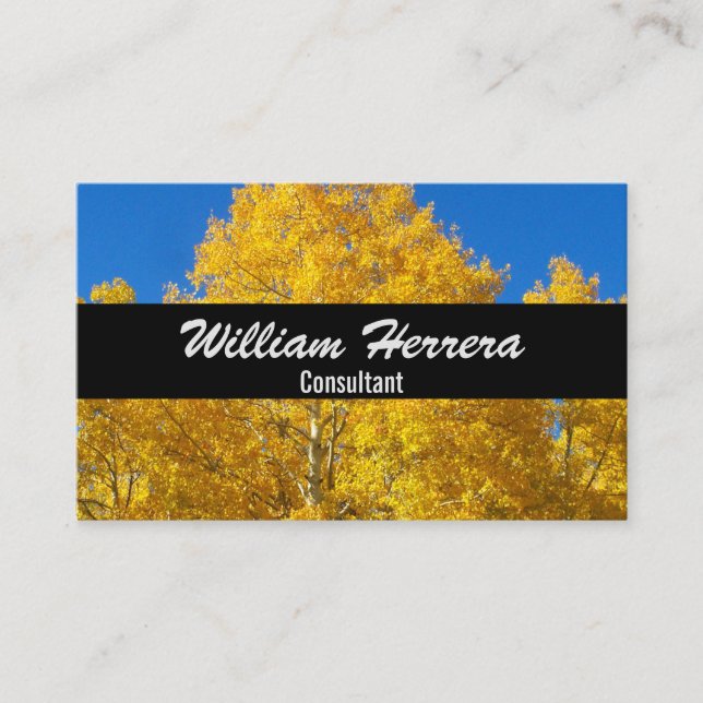 Cartão De Visita O seu modelo de fotografia Elegant Bold Layout 100 (Frente)