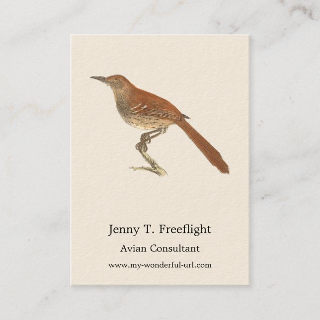 Cartão De Visita O Turvo Marrom ou o Traseiro Marrom, Pássaros de N (Frente)