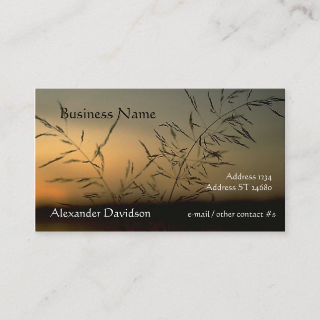 Cartão De Visita Ônibus. Placa - Silhouette de Grass (Frente)