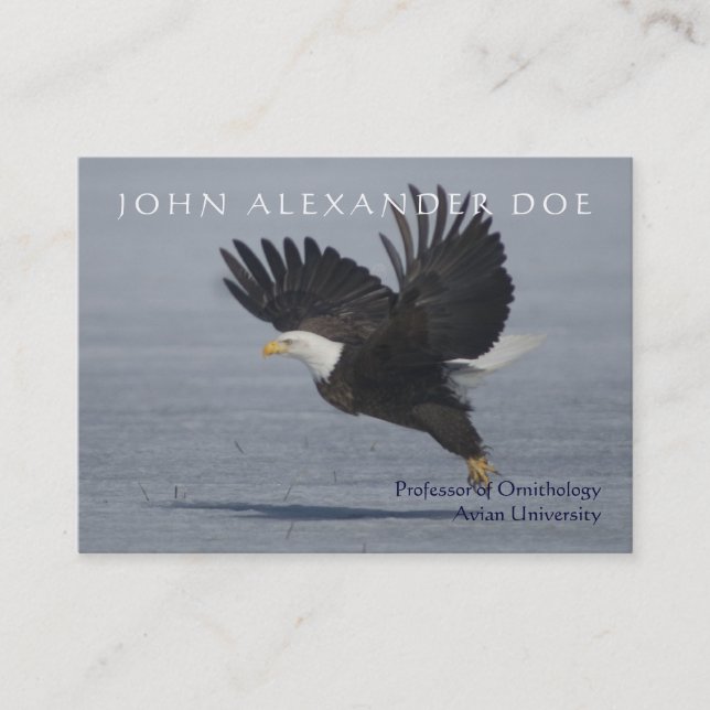 Cartão De Visita Onithologist - professor da ornitologia - frente e (Frente)