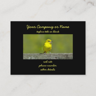 Cartão De Visita Orchard Oriole - Fotografia original