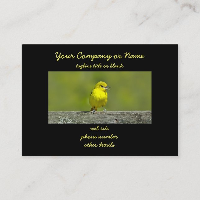 Cartão De Visita Orchard Oriole - Fotografia original (Frente)