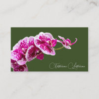 Orquídea cor-de-rosa-flor caligrafia verde-escura