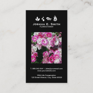 Cartão De Visita Os elementos Ambiente V