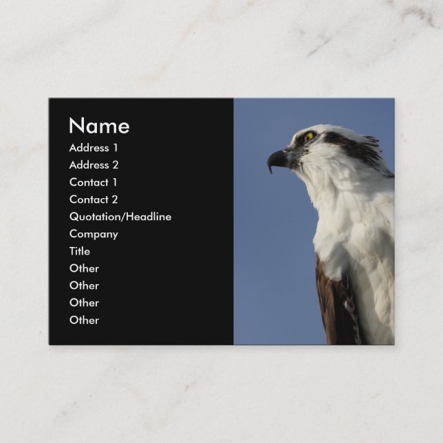 Cartão De Visita osprey (Frente)