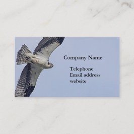 Cartão De Visita Osprey em voo