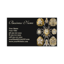 Ouriços-do-mar Vintage Dólares de Areia por Ernst 