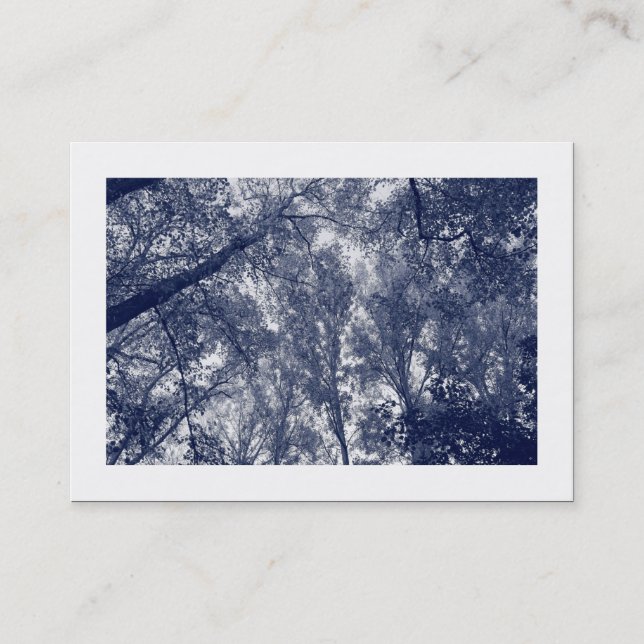 Cartão De Visita Outono Azul (Bordado) (Frente)