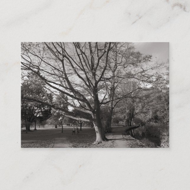 Cartão De Visita Outono no Parque (Frente)