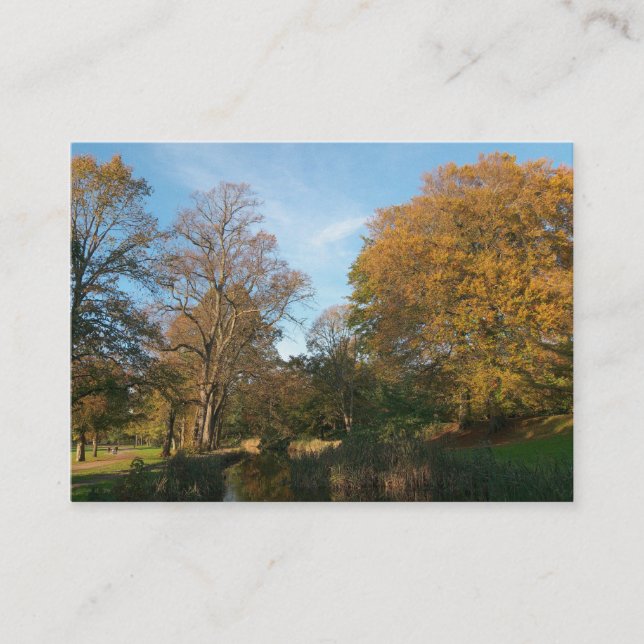 Cartão De Visita Outono no Parque (Frente)
