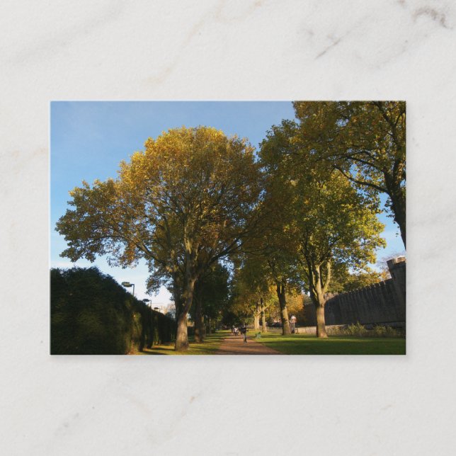 Cartão De Visita Outono no Parque (Frente)