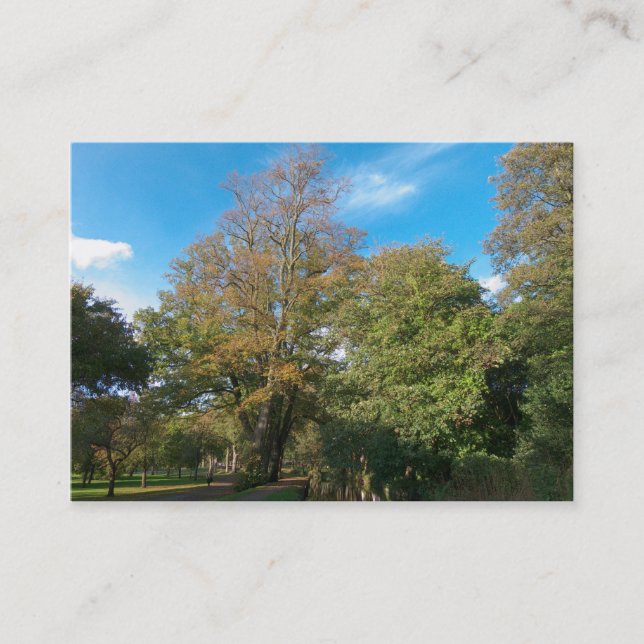 Cartão De Visita Outono no Parque (Frente)