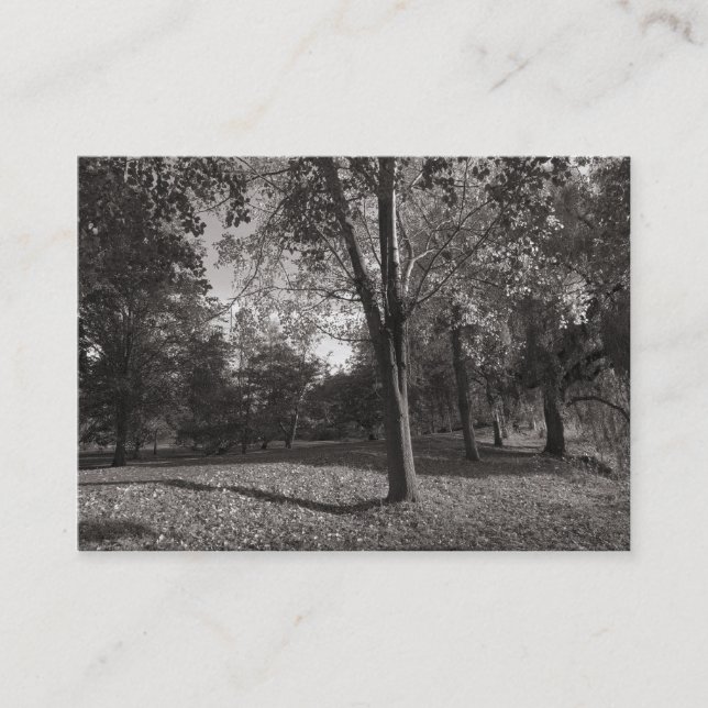Cartão De Visita Outono no Parque (Frente)