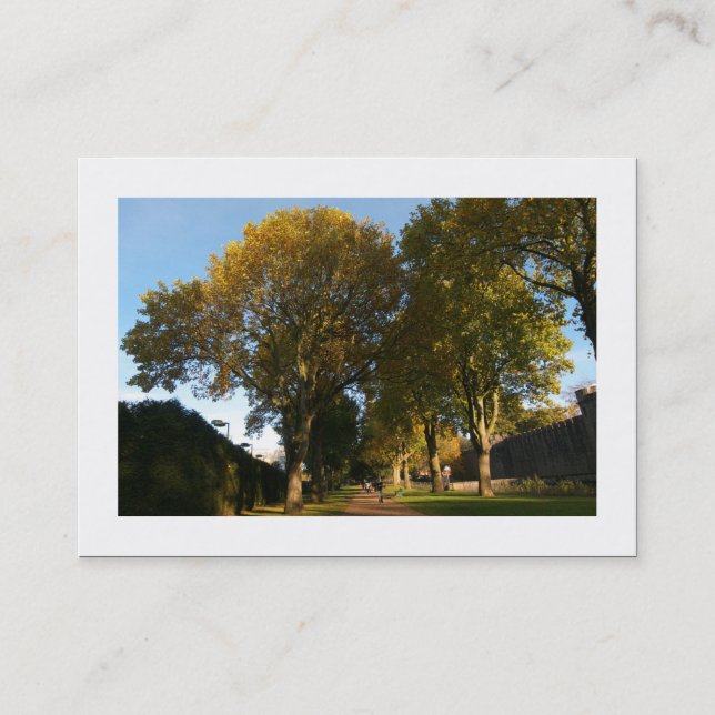 Cartão De Visita Outono no Parque (Bordado) (Frente)