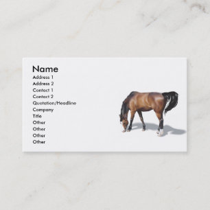 Cartão De Visita Outro017 , Nome, Endereço 1, Endereço 2, Contato .