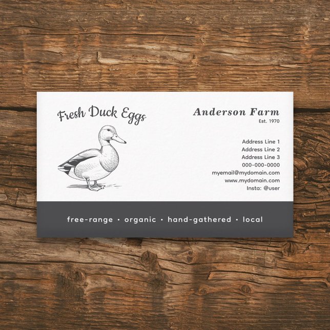 Cartão De Visita Ovos de Pato de Fazenda Frescos Simples (Simple Fresh Farm Duck Eggs Business Card)