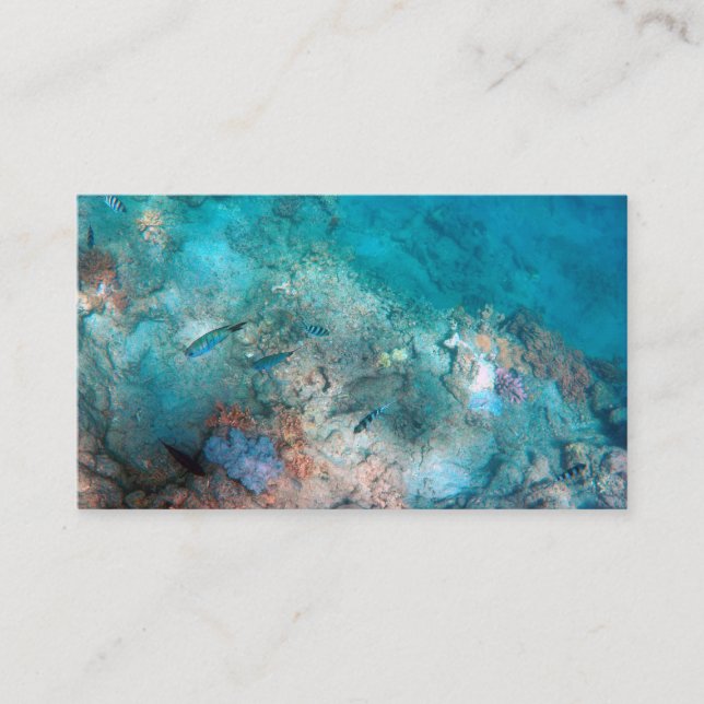 Cartão de visita padrão de 3,5" x 2,0" (Frente)