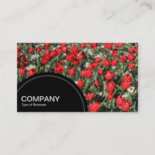 Cartão De Visita Painel semicírculo (pontos) - Tulipas Vermelhas