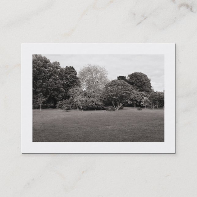 Cartão De Visita Paisagem de Parque (Bordado) (Frente)