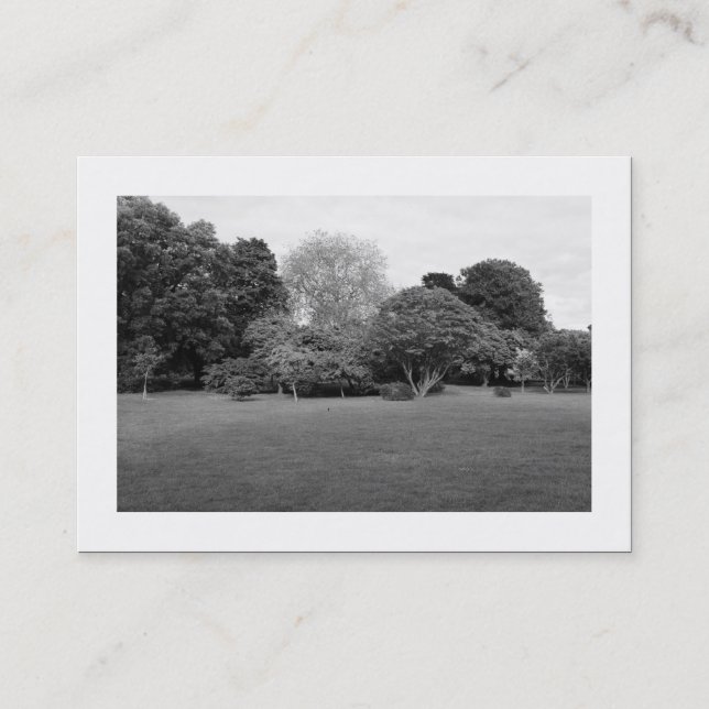 Cartão De Visita Paisagem de Parque (Bordado) (Frente)