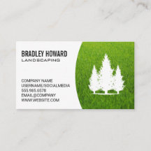 Paisagismo | Árvores Altas e Amarradas