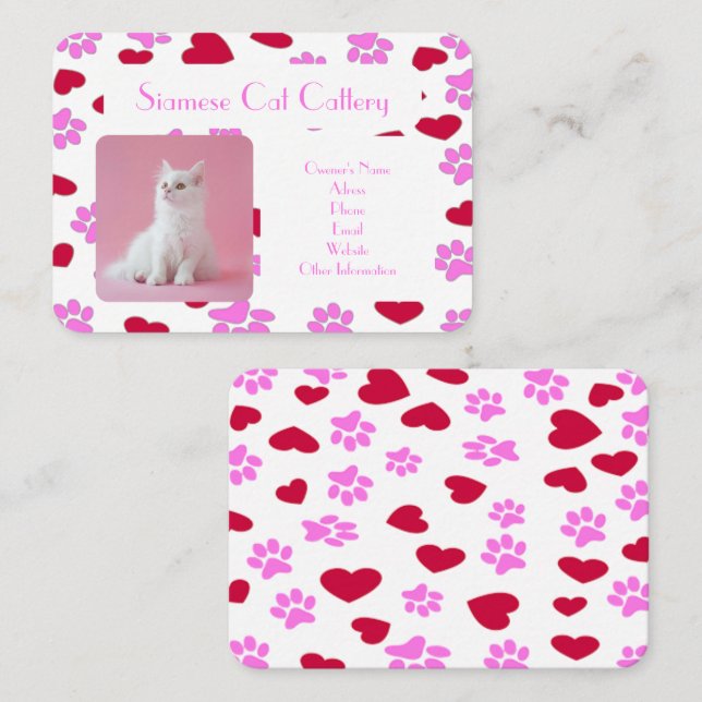 Cartão de visita para o padrão de impressão de pat (Frente/Verso)