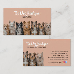 Cartão de Visita para Pet Groomer Preto e Branco