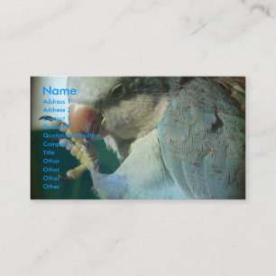 Cartão De Visita Pássaro bonito