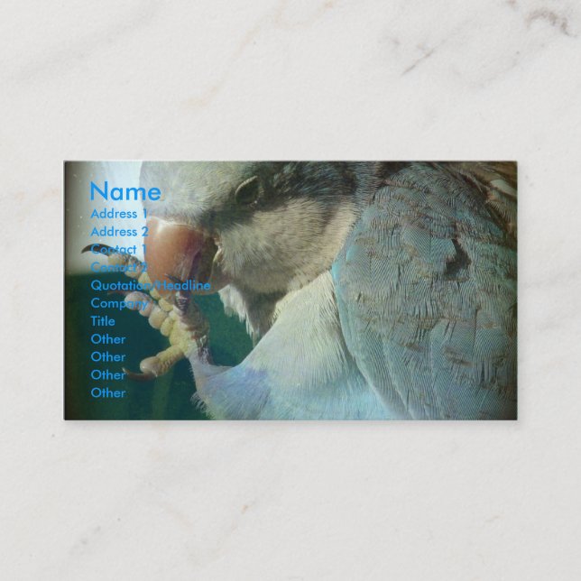 Cartão De Visita Pássaro bonito (Frente)