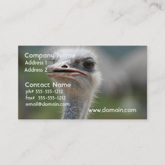 Cartão De Visita Pássaro da avestruz