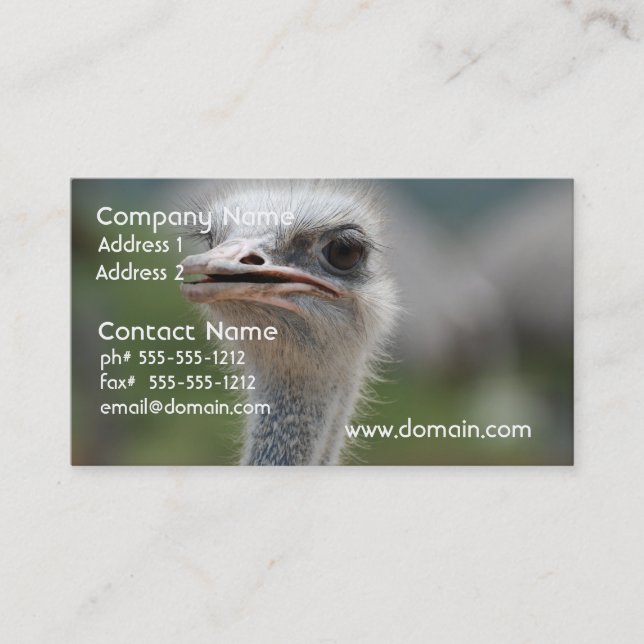 Cartão De Visita Pássaro da avestruz (Frente)