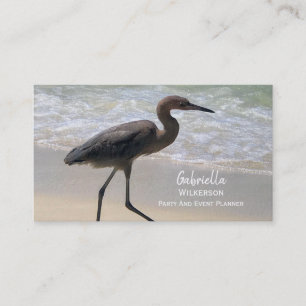 Cartão De Visita Pássaro da praia