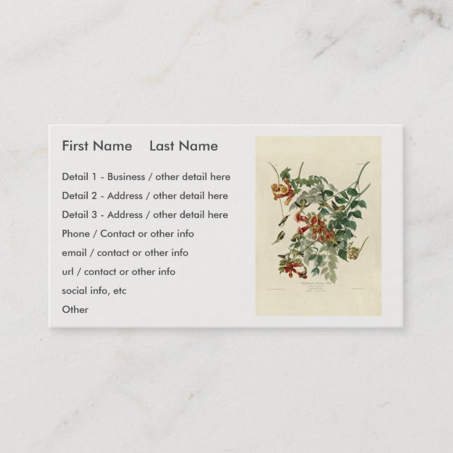 Cartão De Visita Pássaro Humming, Ave de Audubon, América (Frente)