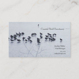 Cartão De Visita Pássaros da costa em um lago