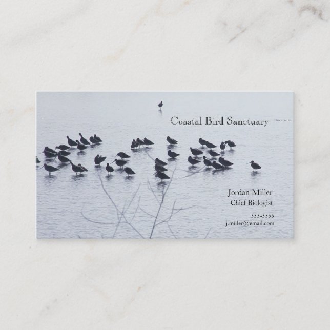Cartão De Visita Pássaros da costa em um lago (Frente)