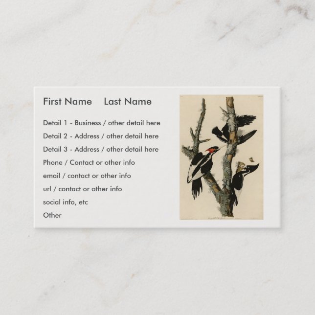 Cartão De Visita Pássaros de Pica-Pica-Pica-Pau da América (Frente)