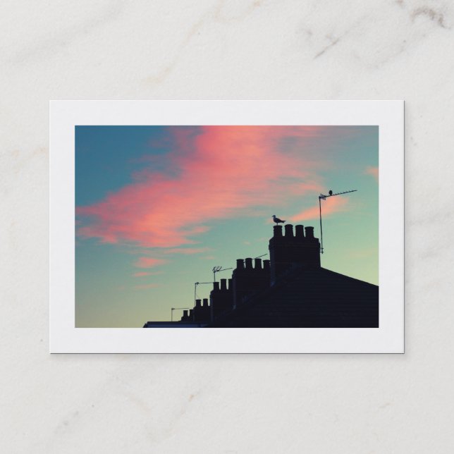 Cartão De Visita Pássaros Pecuários (Bordados) (Frente)